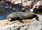IMG_2342 ohau pt.JPG